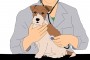 What to Consider When Selecting a Pet