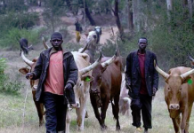 fulani herdsmen